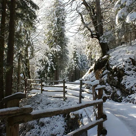Haus Am Stein Finkenberg